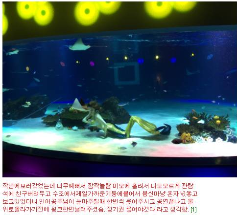 63 빌딩 아쿠아리움 공연