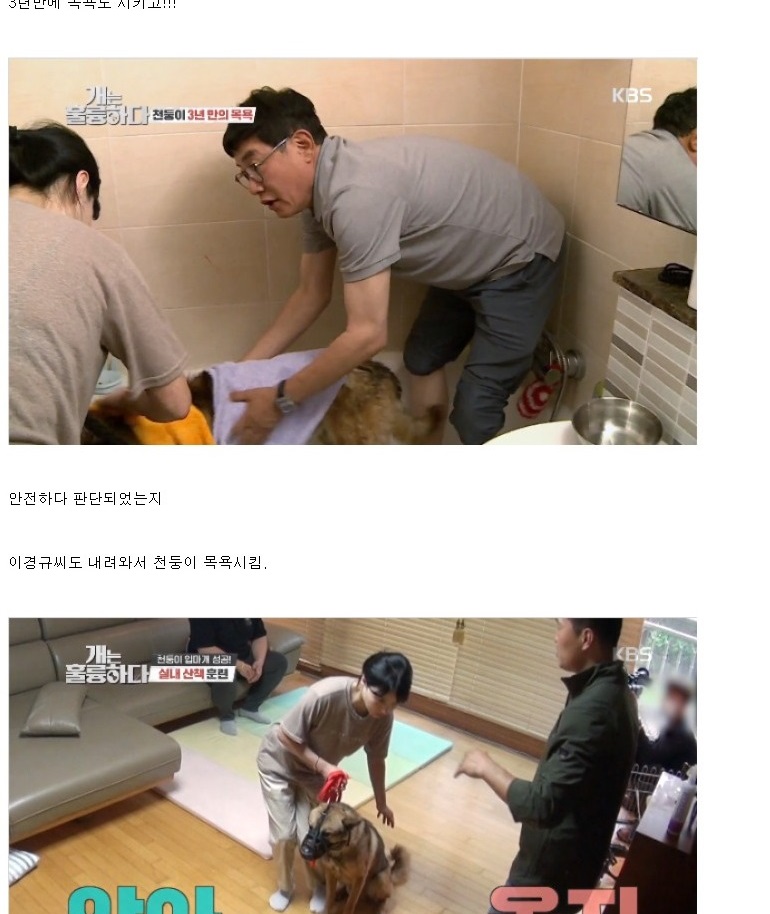 개통령 동물학대 논란