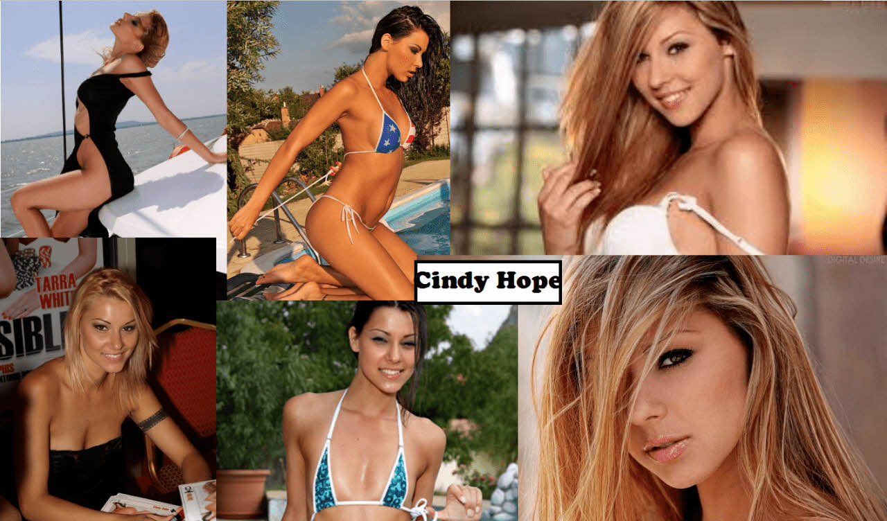 S급 서양 배우 확장판