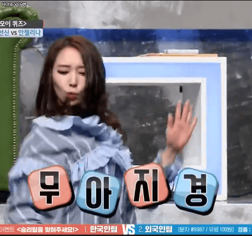 대한 외국인 안젤리나,모에카,김선신