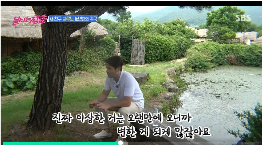90년대 인기 외국인의 귀향