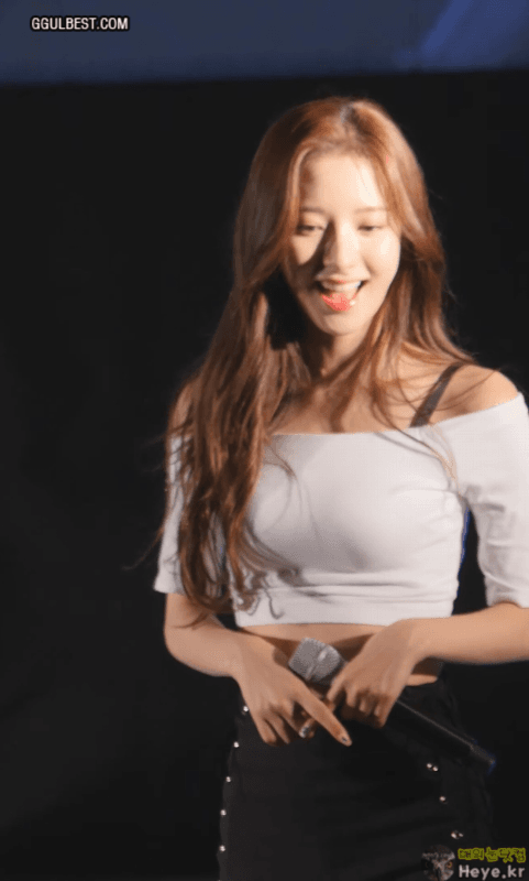 검은끈 보나