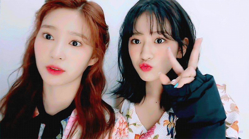 에너지캠 아이즈원