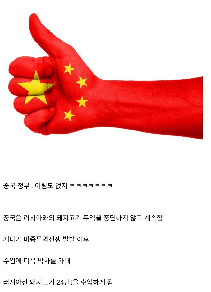 돼지열병이 한국으로 들어온 경로