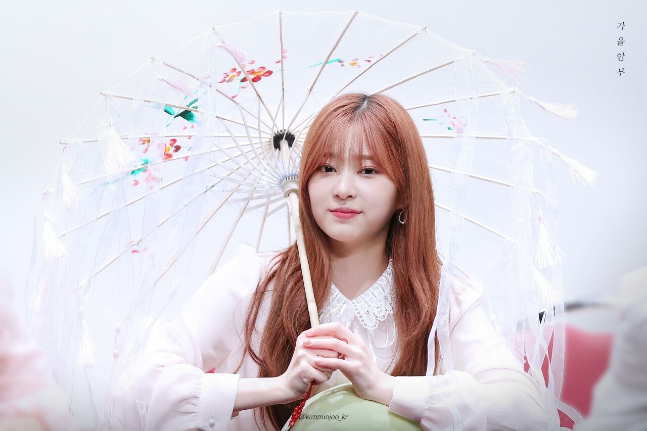 1일 1민주 1일차