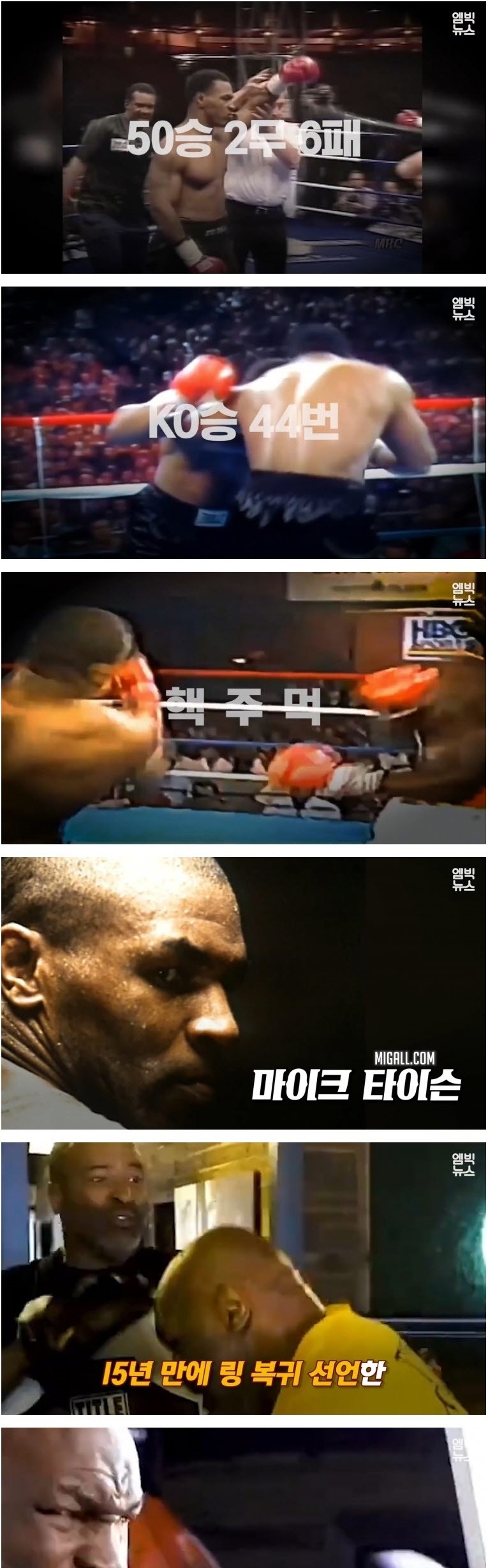 인간 VS 동물 기상천외한 승부