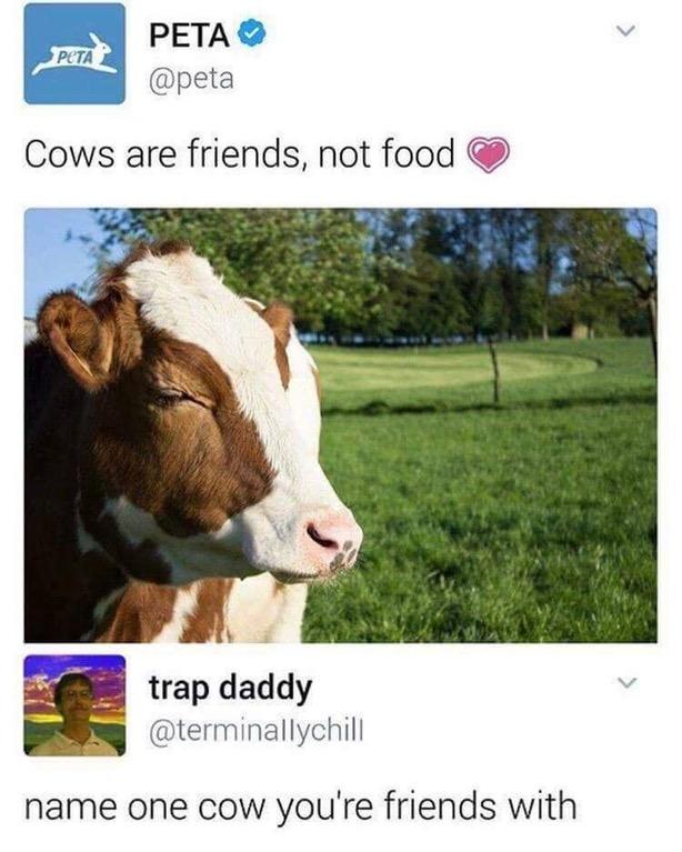 소는 음식이 아니라 친구입니다,jpg