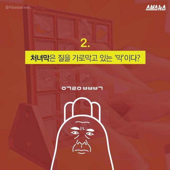 성급한 야동의 오류