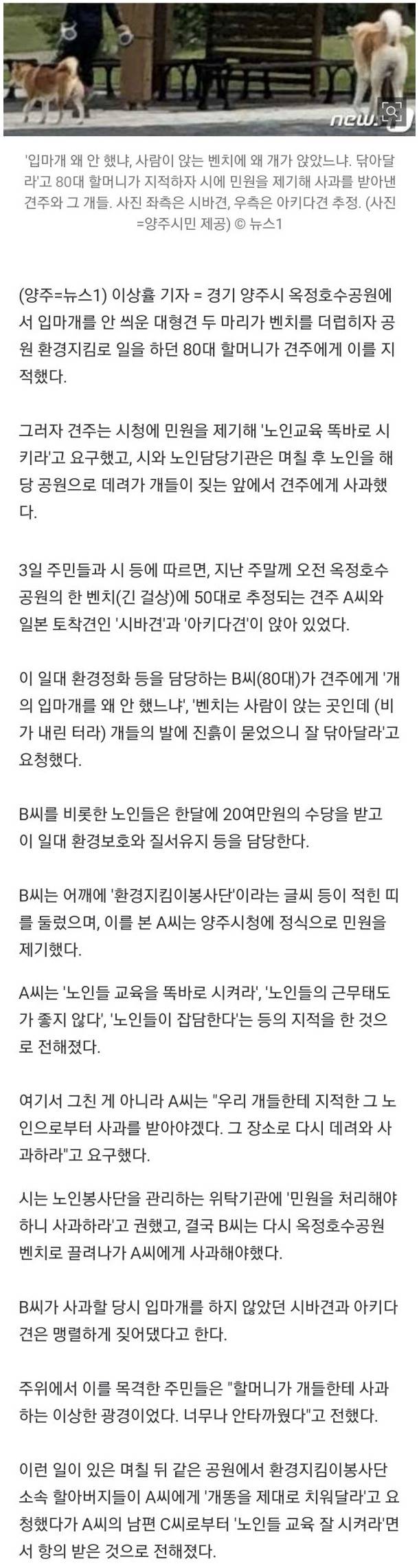 개한테 사과한 할머니
