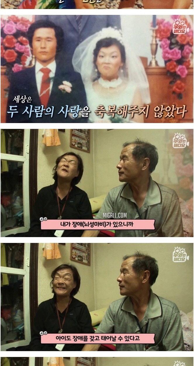 아내를 위한 정성