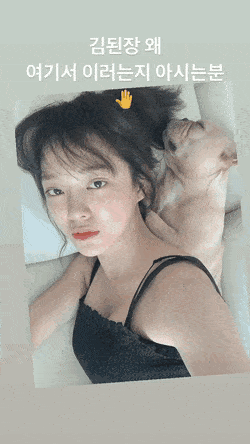 반려견과 누워있는 세정이