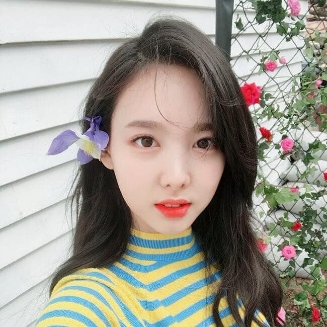 jpgif 임나연 [데이터]