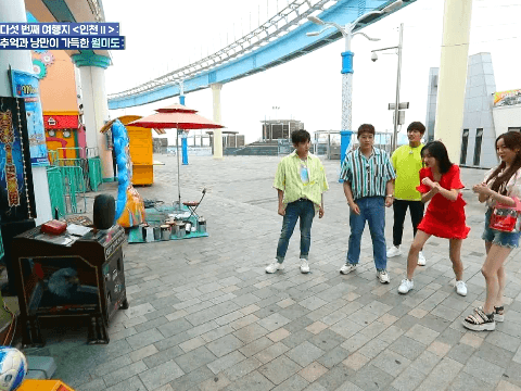 동네앨범 수정 케이