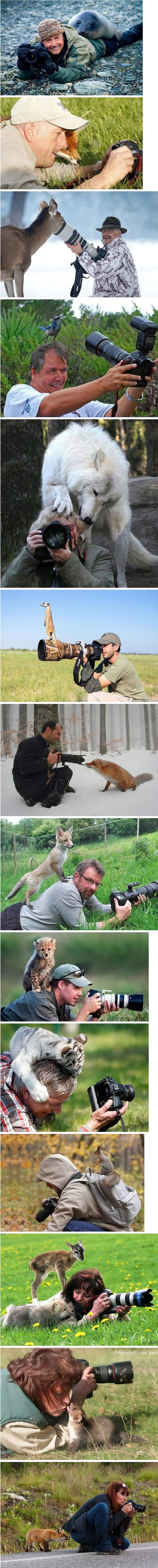 야생동물 촬영 중 나타난 동물들