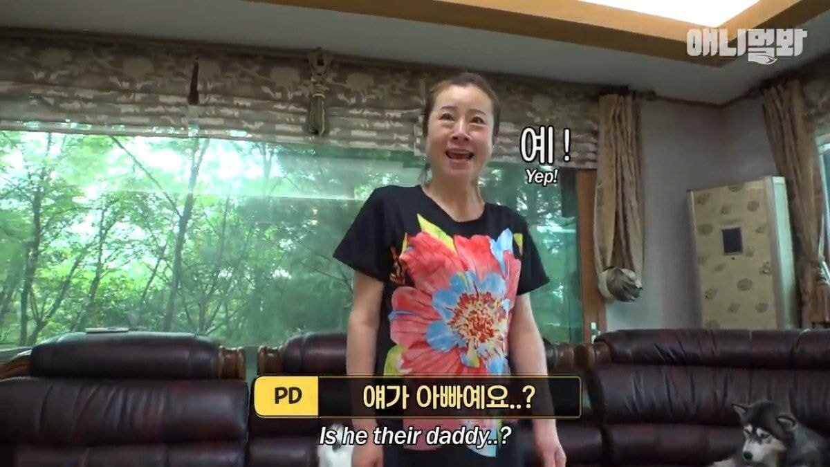 희귀 견종 말스키