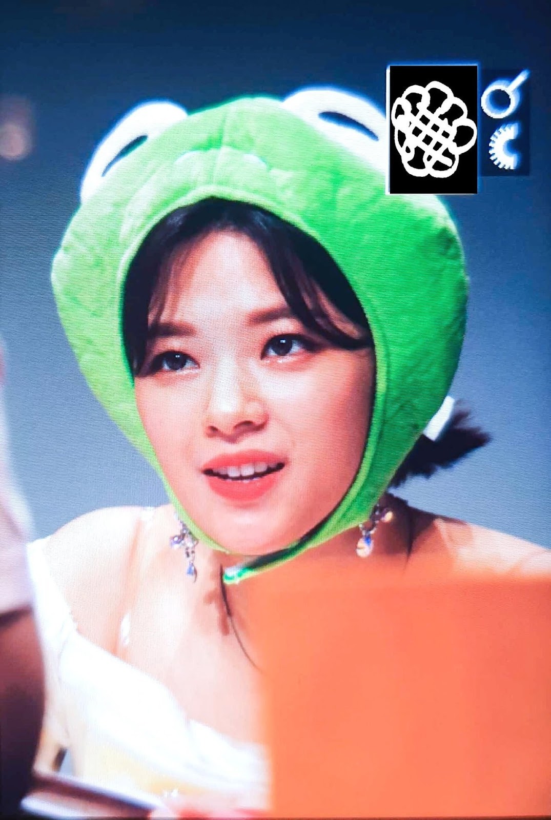 트와이스 정연(23장)