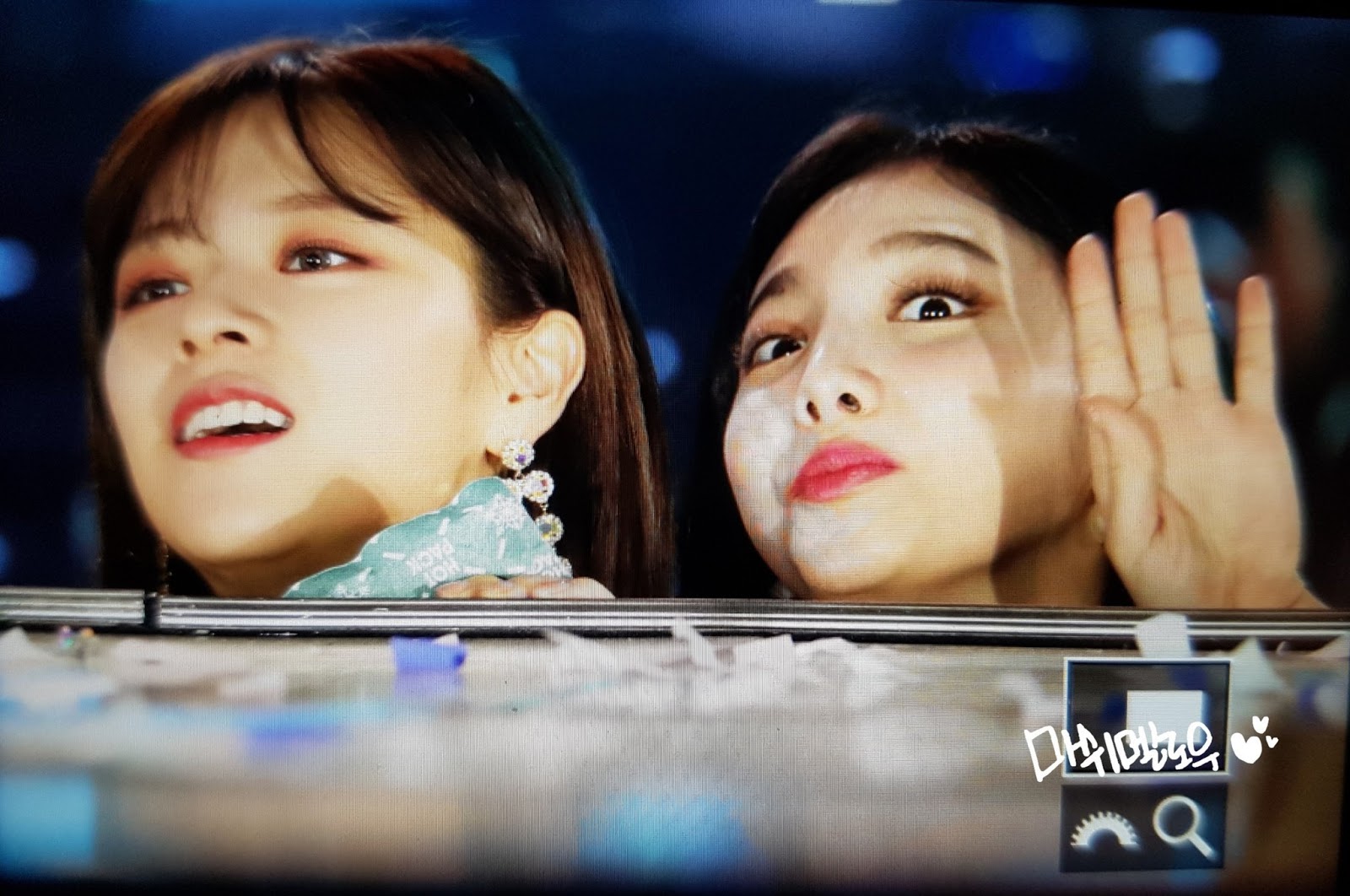 미어캣 트와이스