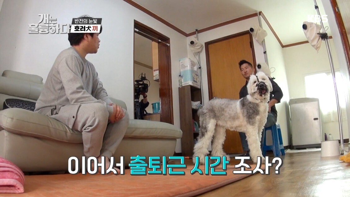 혼자 살면서 개 키우는 주인에게 빡친 강형욱