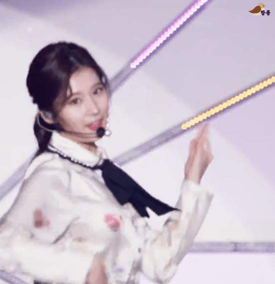 유투브 FanFest Music 재팬 사나, 미나 [108MB]
