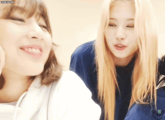 콘서트후 나연 모모 사나 다현 지효