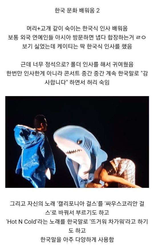 팬 서비스 역대 최고였다는 내한가수