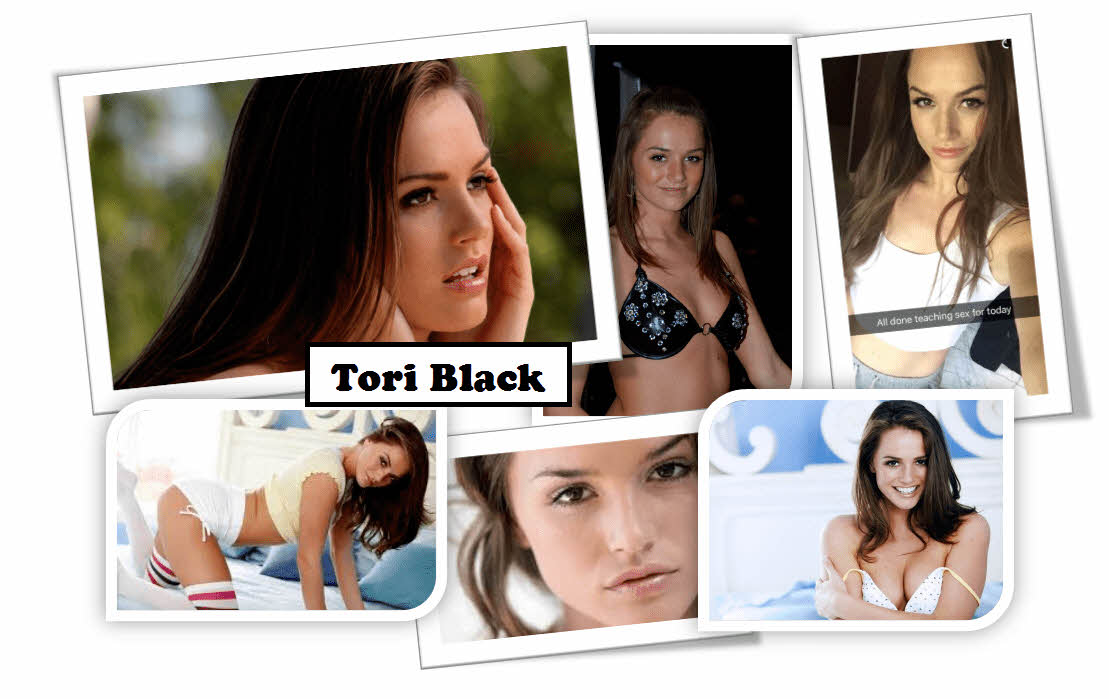 S급 서양 배우 확장판