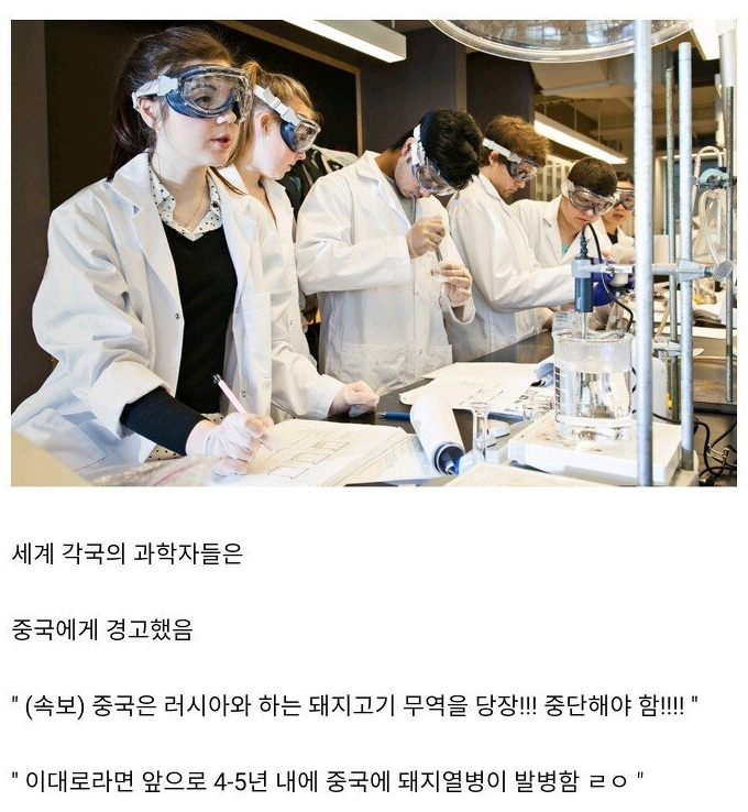 돼지열병이 한국으로 들어온 경로