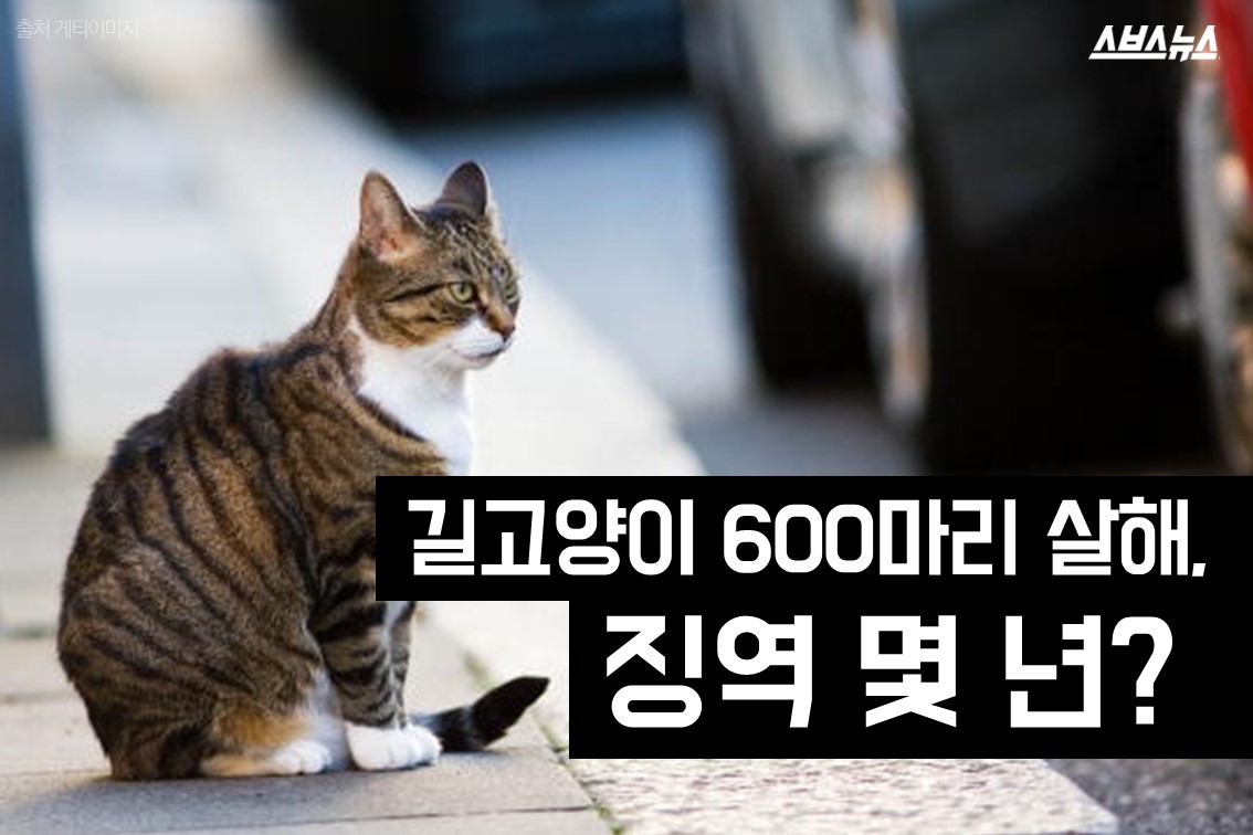 고양이 600마리 살해, 집행유예 2년 선고