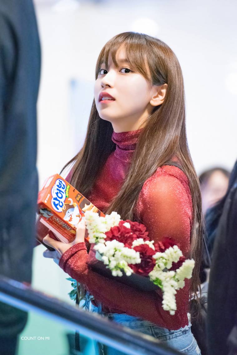 트와이스 미나 / 사나 / 쯔위