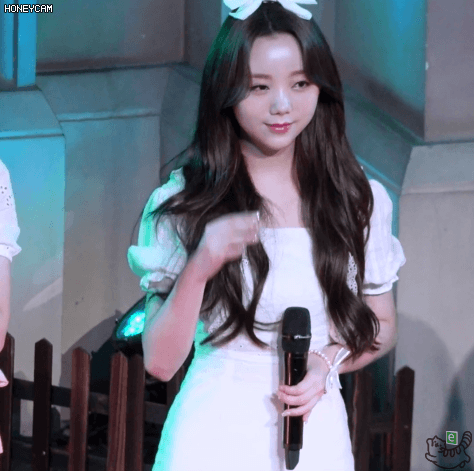 리본 케이