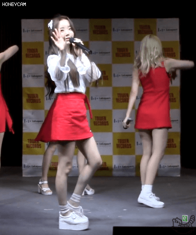 리본 케이