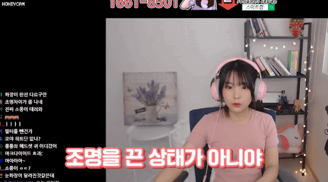 스트리머 소풍왔니 코스프레