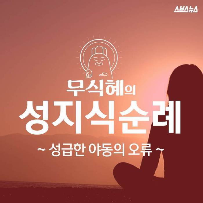 성급한 야동의 오류