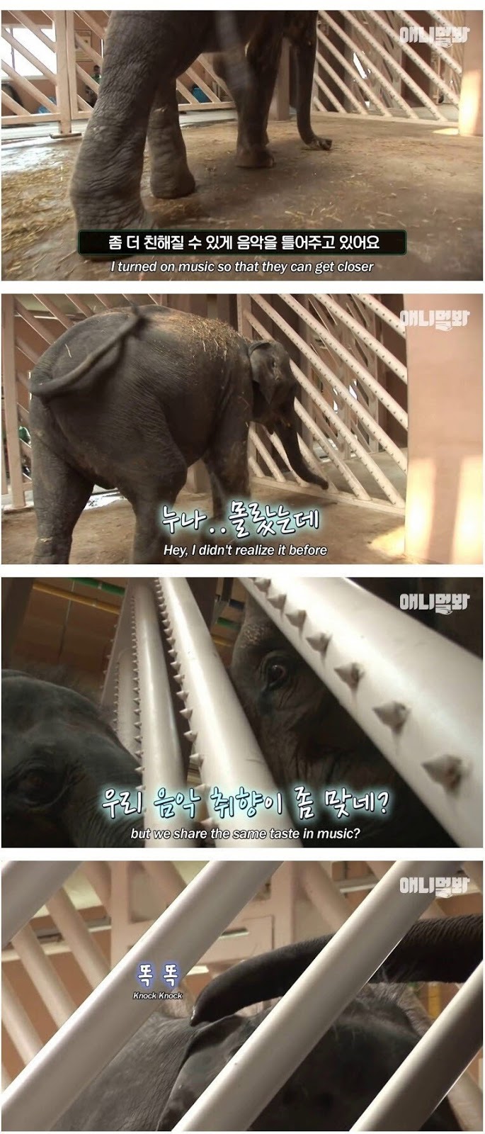 남친이랑 헤어지고 방청소 하다가 울음