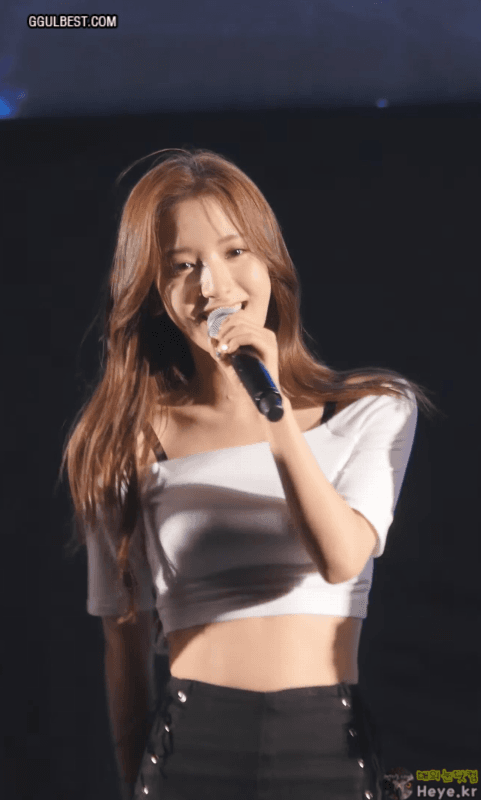 검은끈 보나