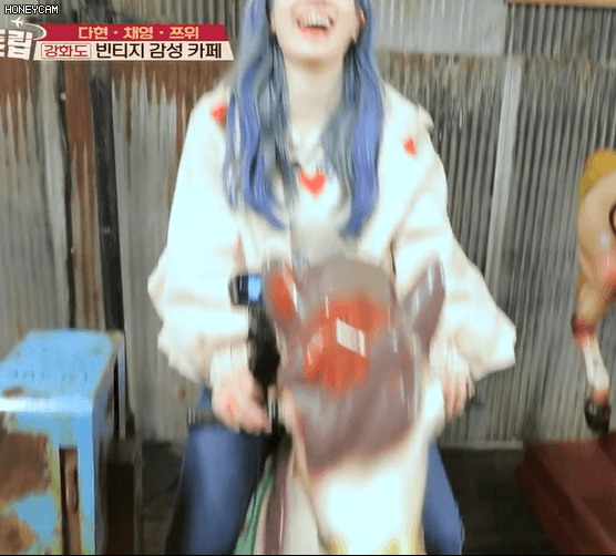 급식단 봄투어