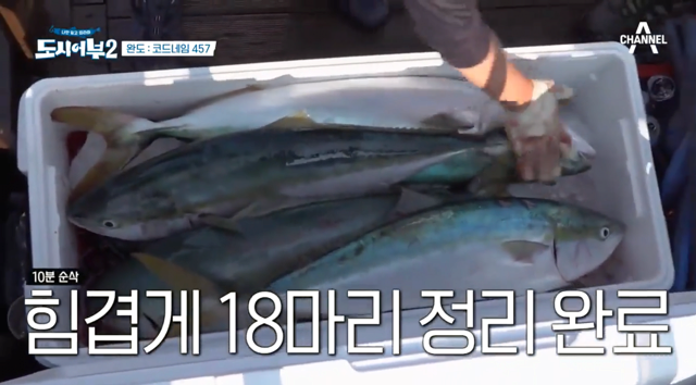 방어잡은 도시어부 프로그램 근황