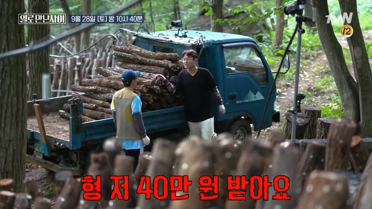 워크맨 표절 논란