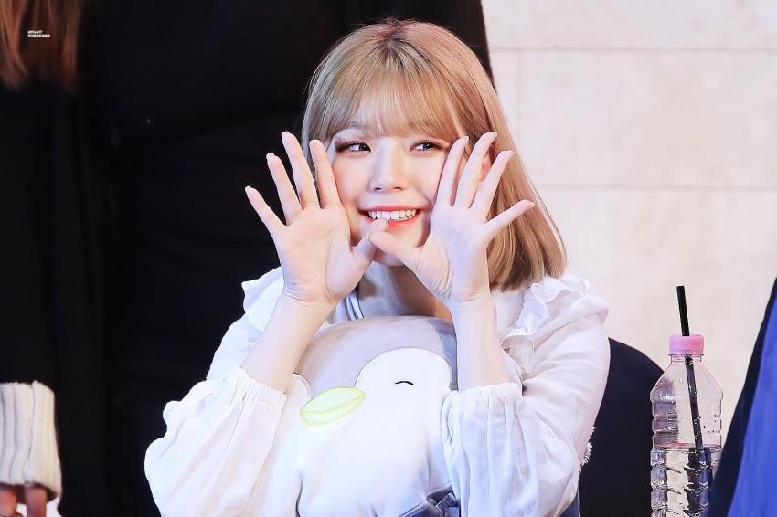 프로미스나인 백지헌