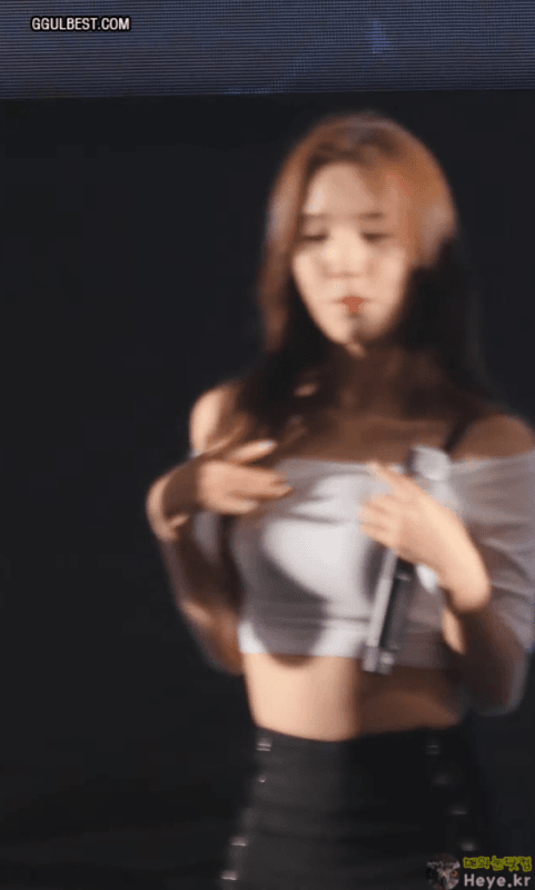 검은끈 보나