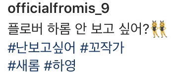 송하영 이새롬 인스타(ft. 나꼬)
