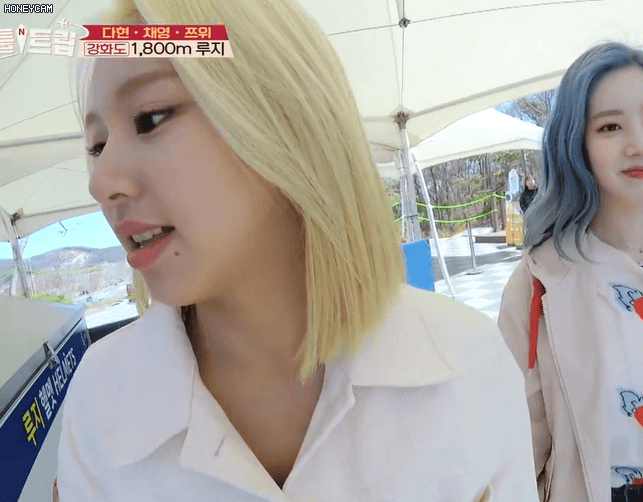 급식단 봄투어