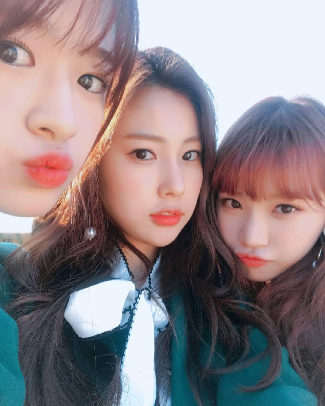 광배와 댕댕이들♡