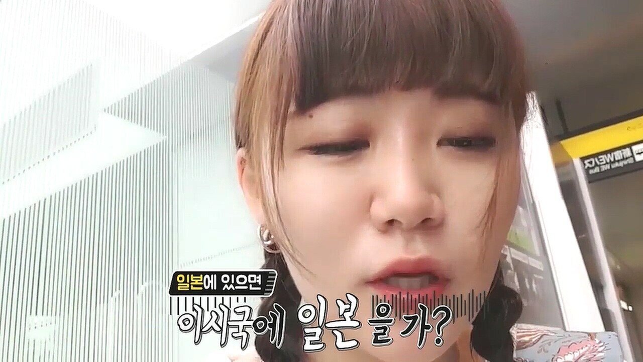 명불허전 손가락 애국자들