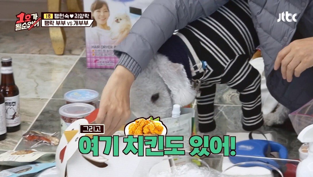개라면 질색하던 최양락