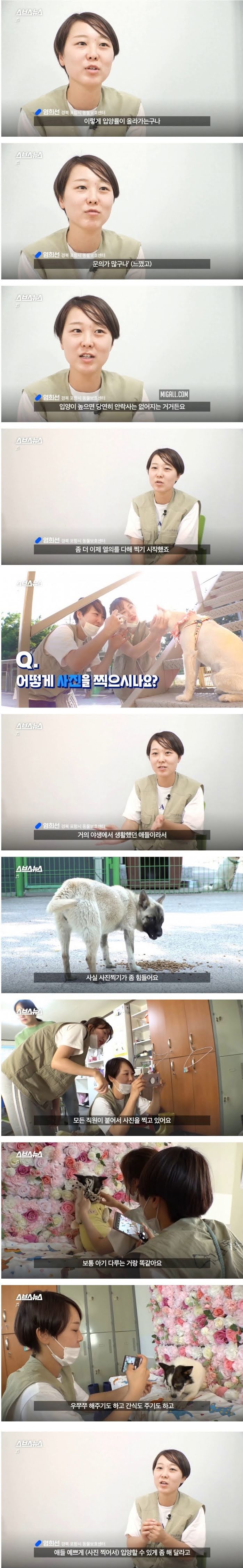 인생샷 찍어주는 보호소
