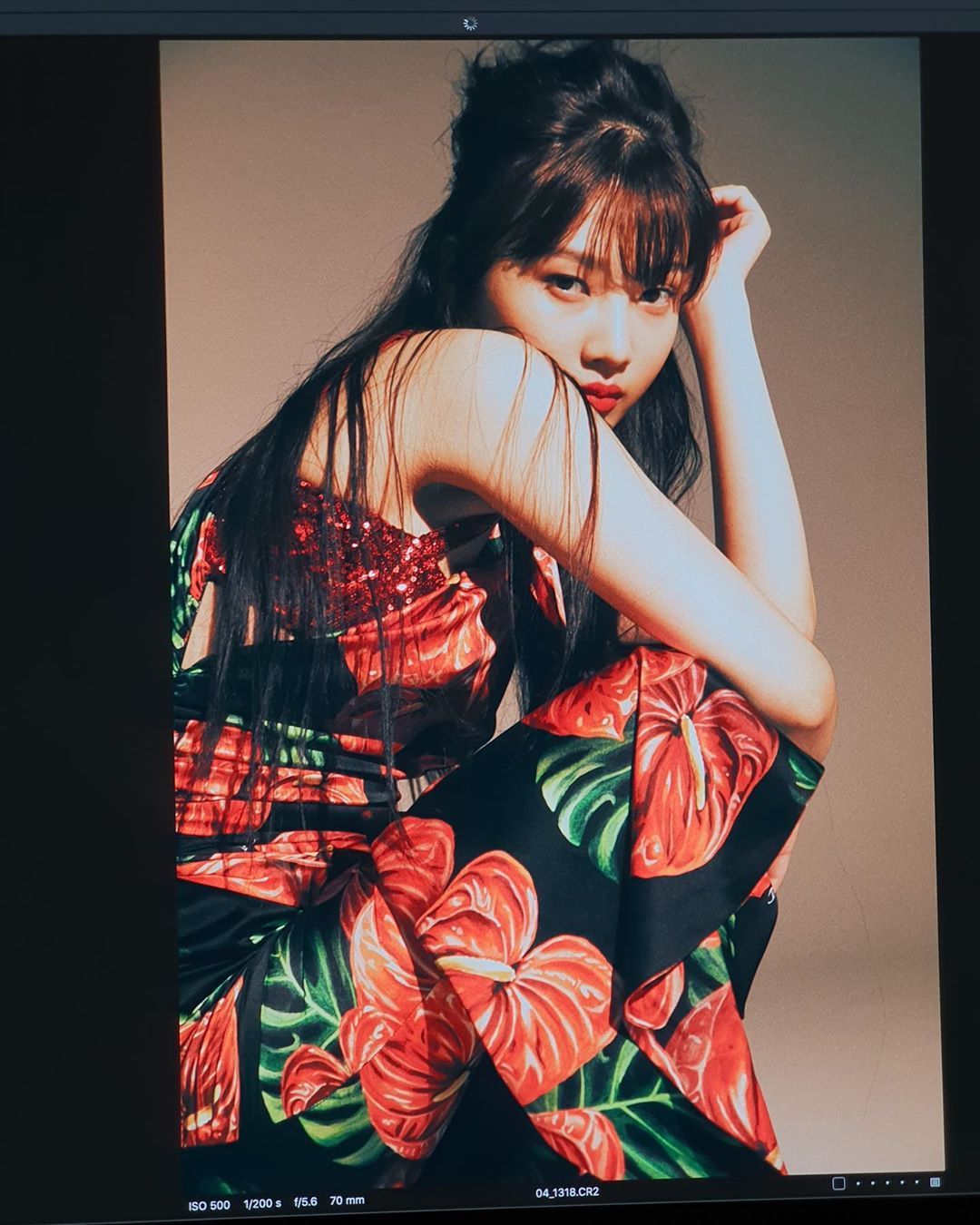 사진 조이