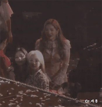 미어캣 트와이스