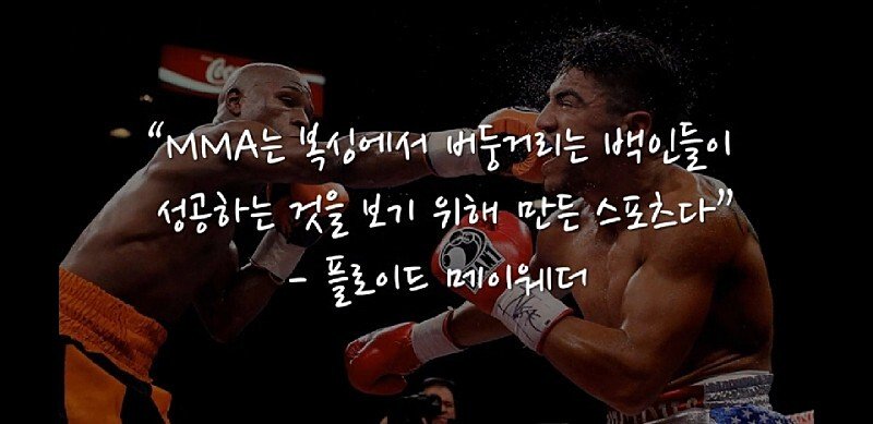 복싱 챔피언들의 MMA 비하 발언