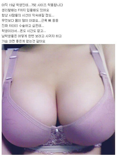 지식인 가슴 고민들